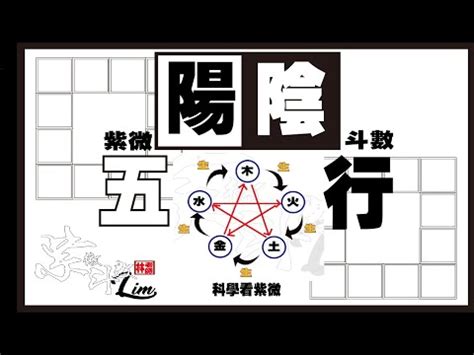 陽女 木3局|紫微斗數的基礎教程